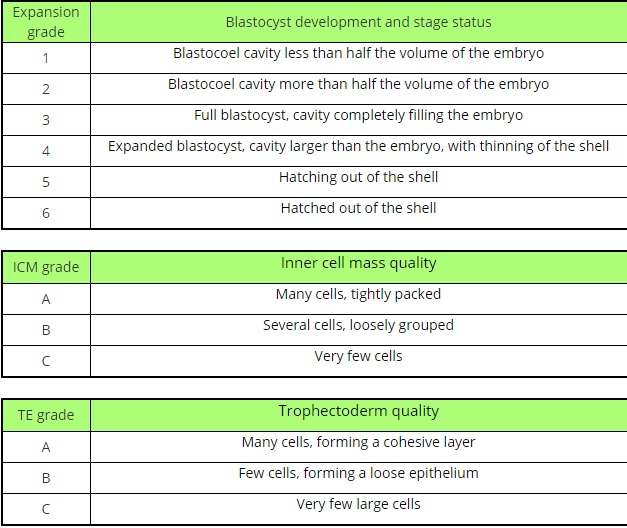 Chart taken from Advanced Fertility